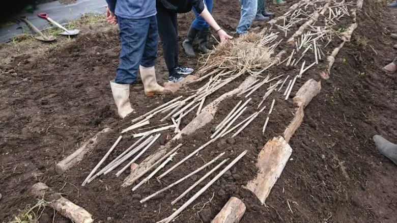 菌ちゃん農法を実践 ～竹の有効利用でゼロ円土づくり～ - 遊暮銘々