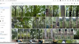 Thumbnail of post image 009