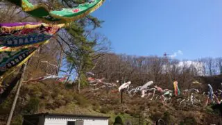 Thumbnail of post image 006